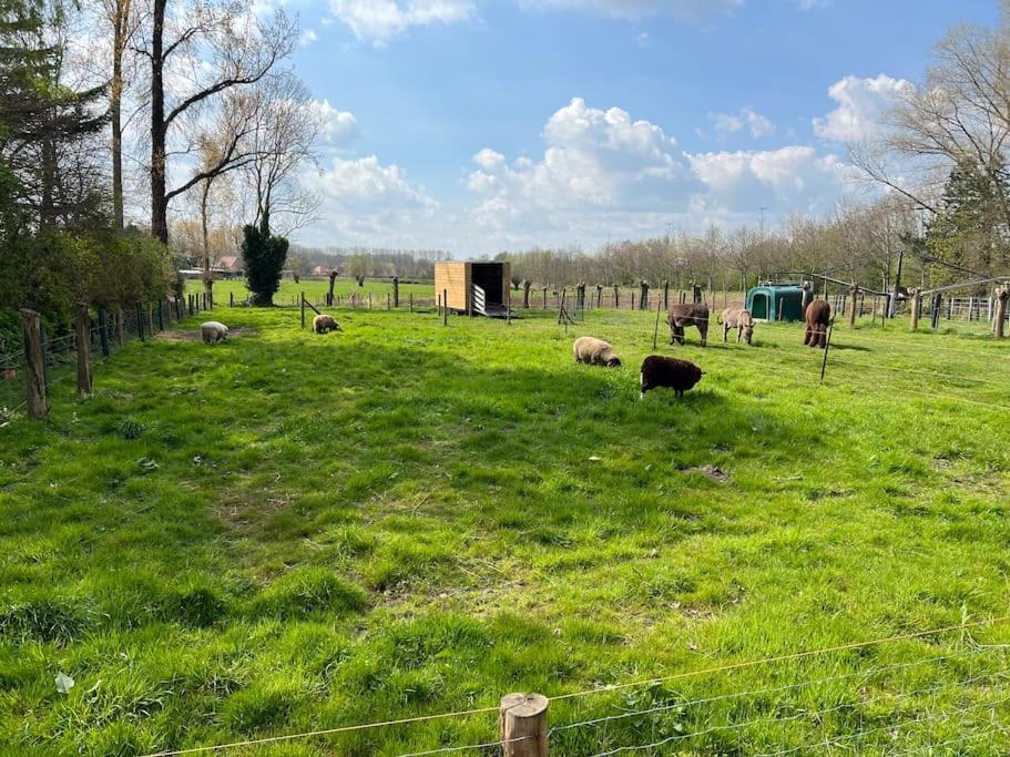 Hoeve Hooierzele Waasmunster Extérieur photo
